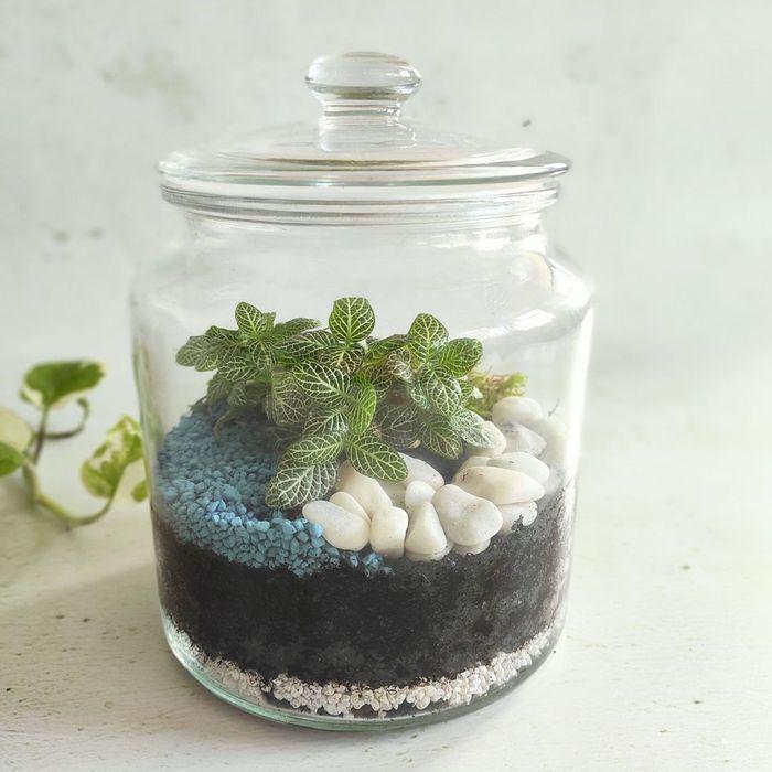 Atelier terrarium