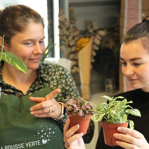 Atelier kokedama